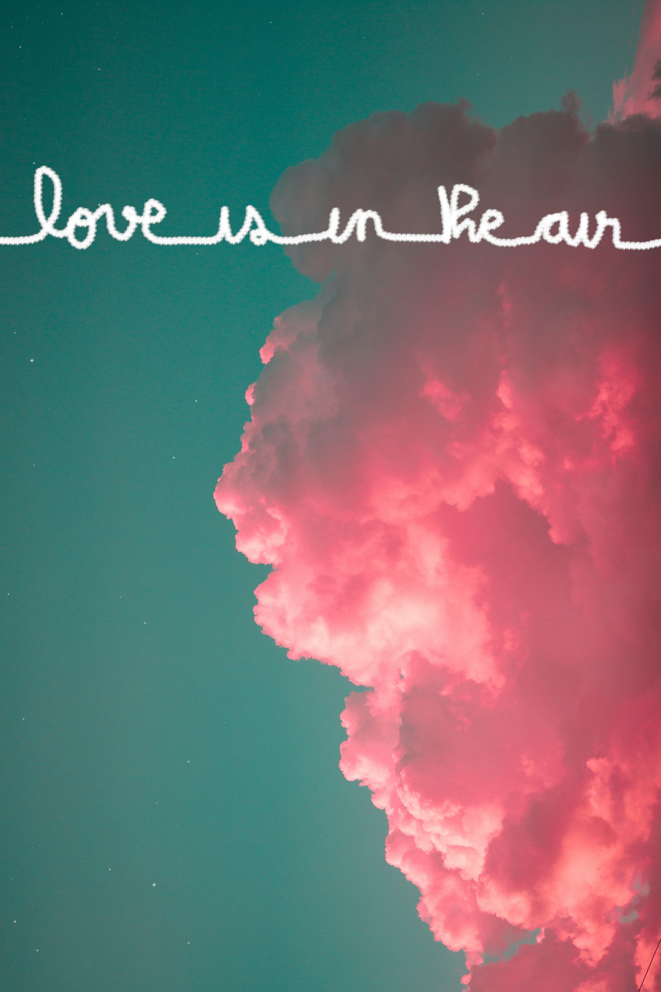 Love is in the air, affiche